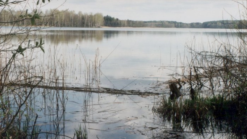 Publisks vai privāts? Strīdi par Latgales ezeru īpašumtiesībām nonāk Satversmes tiesā