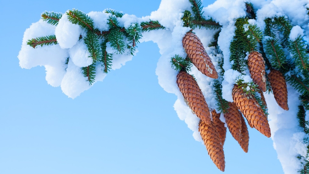 Ainažos un Rūjienā pārspēts decembra pirmās dekādes aukstuma rekords