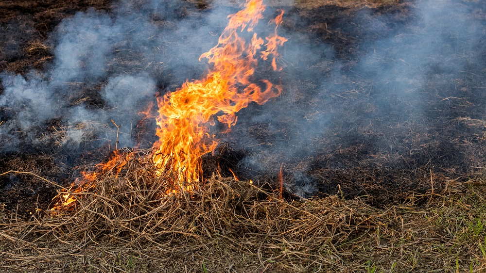 Latvijā reģistrēti jau 120 kūlas ugunsgrēki