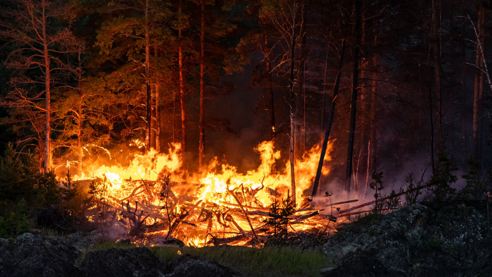 Brīdina par augstu ugunsbīstamību mežos valsts centrālajā daļā