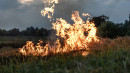 Latvijā piektdien sāksies meža ugunsnedrošais laikposms